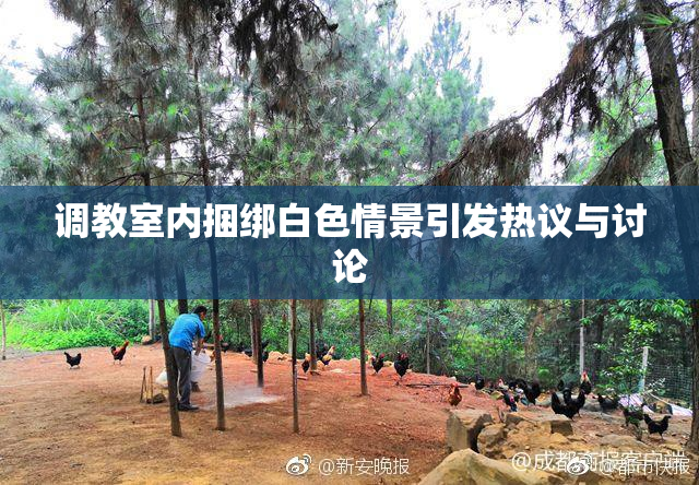 调教室内捆绑白色情景引发热议与讨论