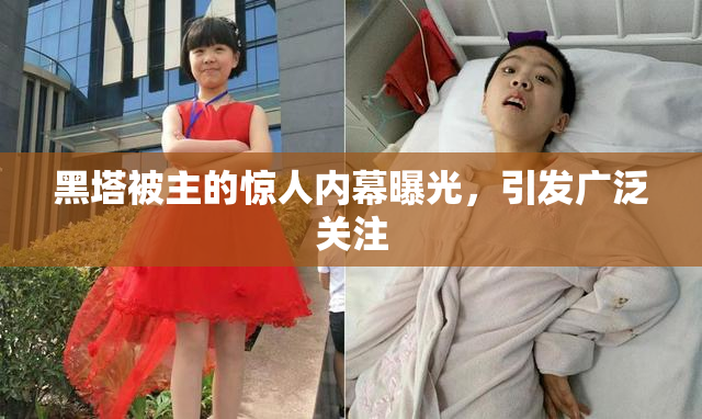 黑塔被主的惊人内幕曝光，引发广泛关注