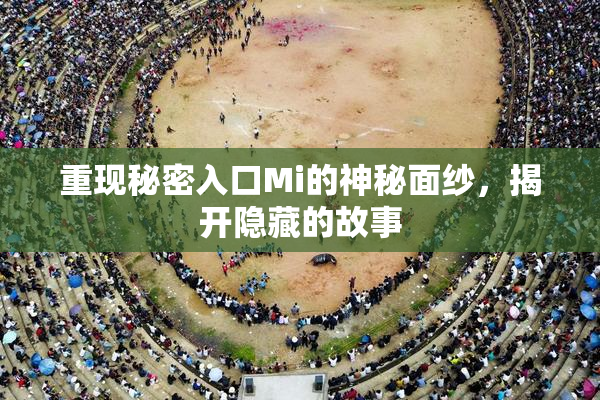 重现秘密入口Mi的神秘面纱，揭开隐藏的故事
