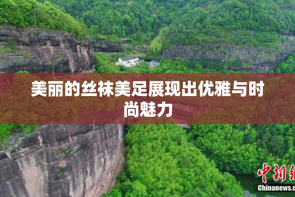 美丽的丝袜美足展现出优雅与时尚魅力