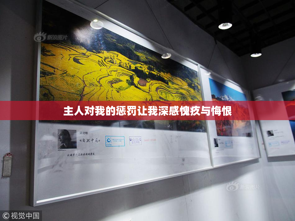 主人对我的惩罚让我深感愧疚与悔恨