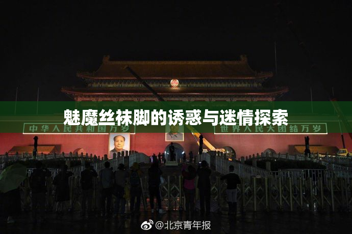 魅魔丝袜脚的诱惑与迷情探索