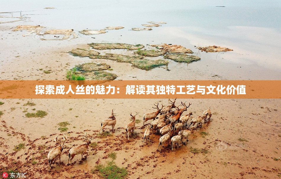 探索成人丝的魅力：解读其独特工艺与文化价值