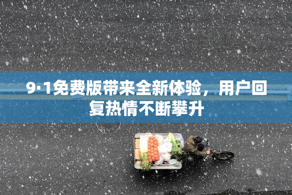 9·1免费版带来全新体验，用户回复热情不断攀升