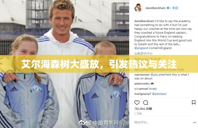 艾尔海森树大盛放，引发热议与关注