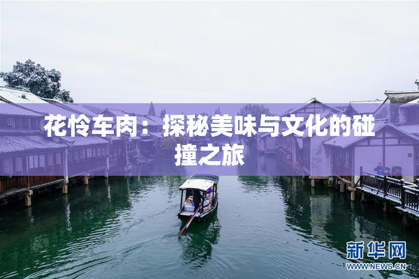 花怜车肉：探秘美味与文化的碰撞之旅