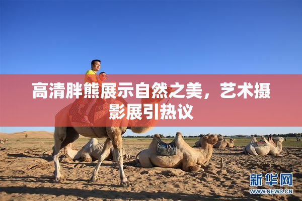 高清胖熊展示自然之美，艺术摄影展引热议