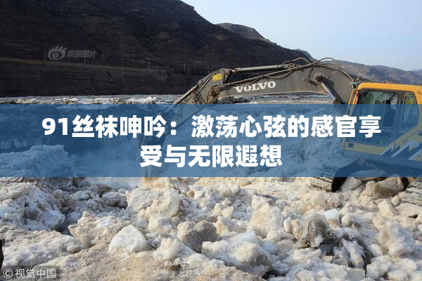 91丝袜呻吟：激荡心弦的感官享受与无限遐想