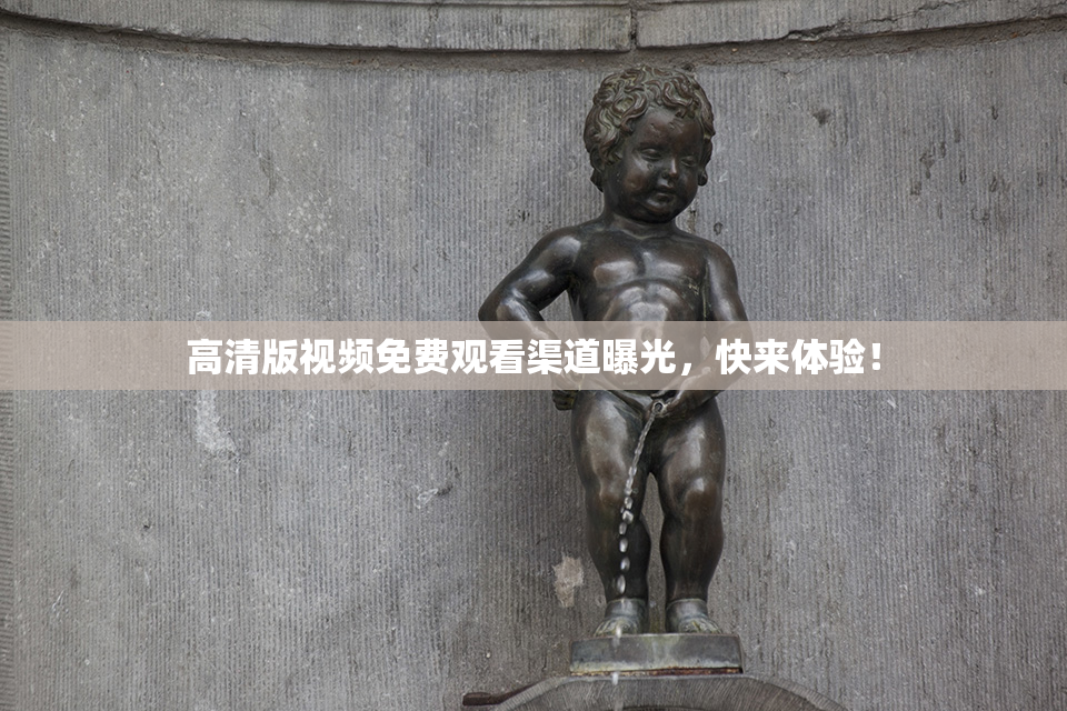 高清版视频免费观看渠道曝光，快来体验！