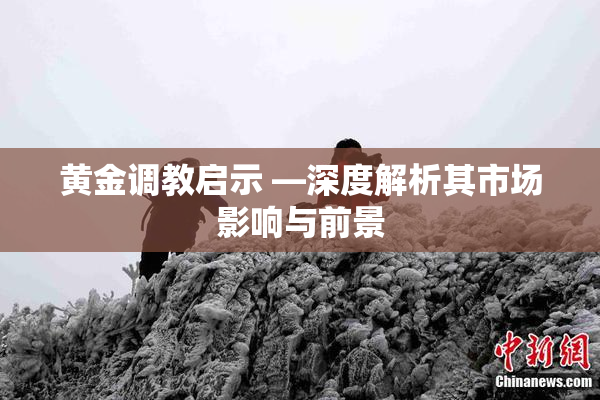 黄金调教启示 —深度解析其市场影响与前景