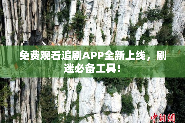 免费观看追剧APP全新上线，剧迷必备工具！