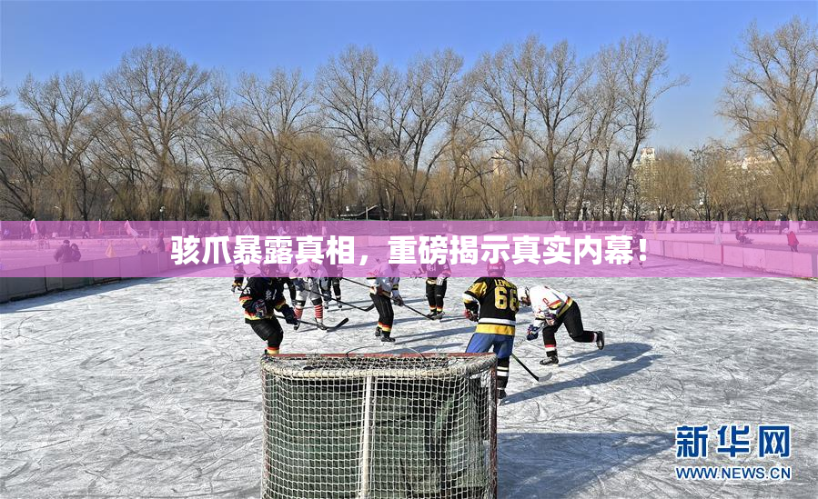骇爪暴露真相，重磅揭示真实内幕！