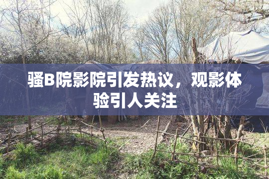 骚B院影院引发热议，观影体验引人关注
