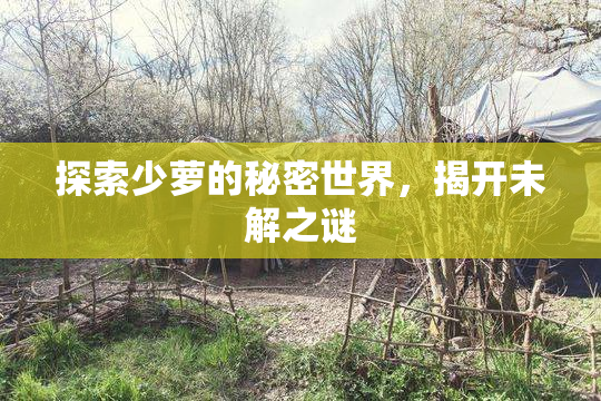探索少萝的秘密世界，揭开未解之谜
