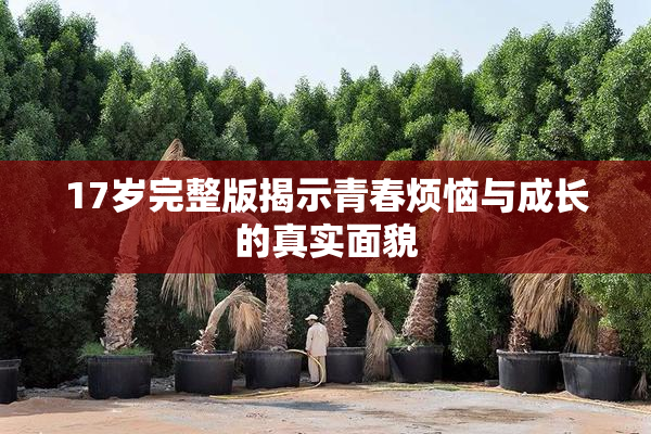 17岁完整版揭示青春烦恼与成长的真实面貌
