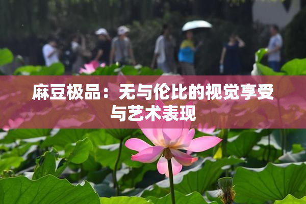 麻豆极品：无与伦比的视觉享受与艺术表现