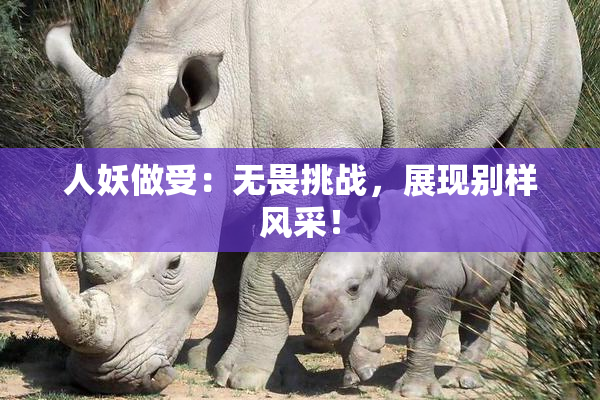 人妖做受：无畏挑战，展现别样风采！
