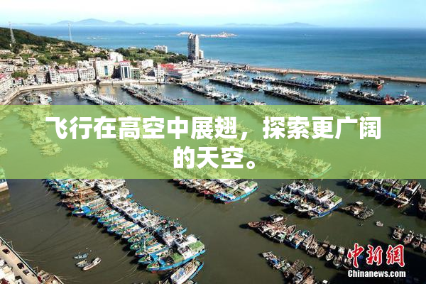 飞行在高空中展翅，探索更广阔的天空。