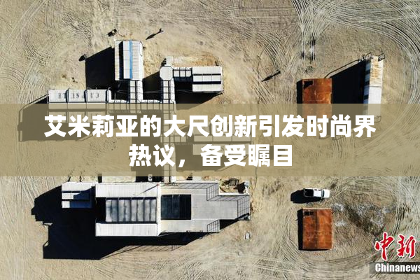 艾米莉亚的大尺创新引发时尚界热议，备受瞩目