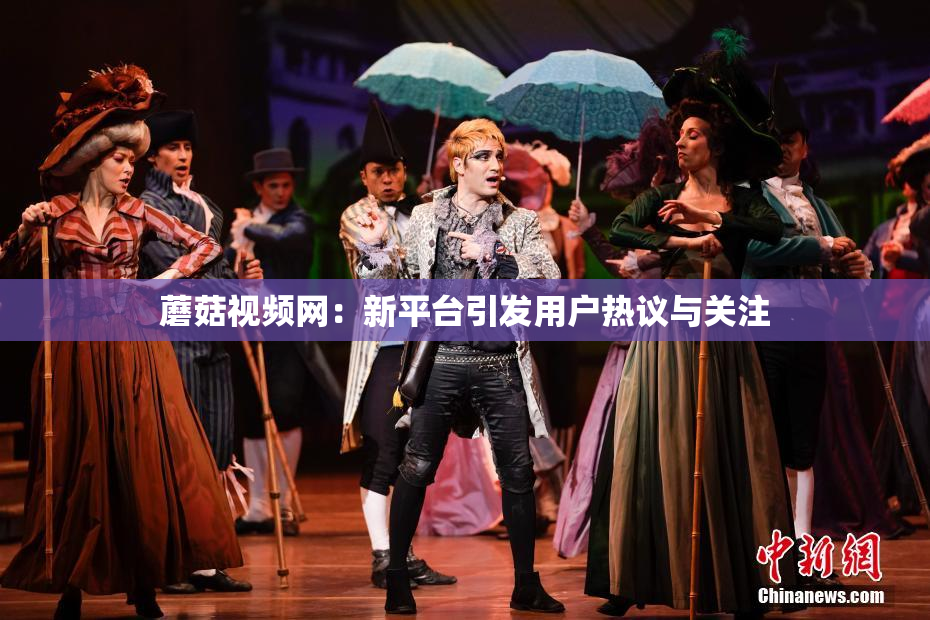 蘑菇视频网：新平台引发用户热议与关注