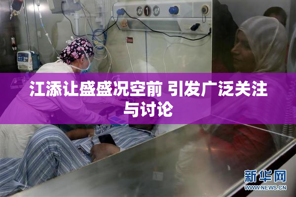 江添让盛盛况空前 引发广泛关注与讨论