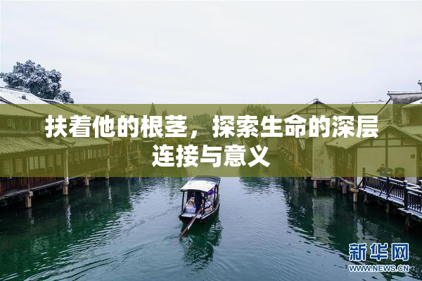扶着他的根茎，探索生命的深层连接与意义