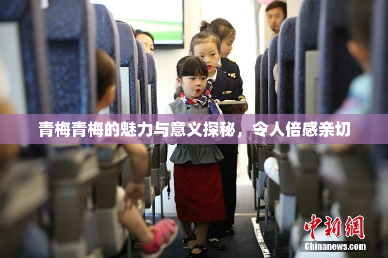 青梅青梅的魅力与意义探秘，令人倍感亲切