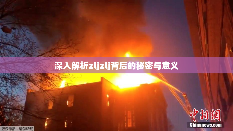 深入解析zljzlj背后的秘密与意义