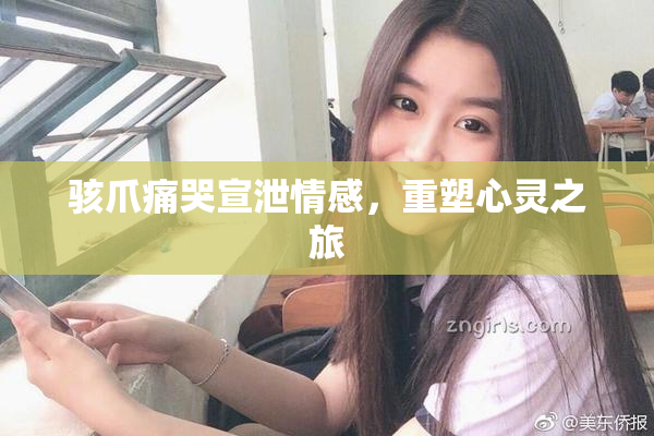 骇爪痛哭宣泄情感，重塑心灵之旅