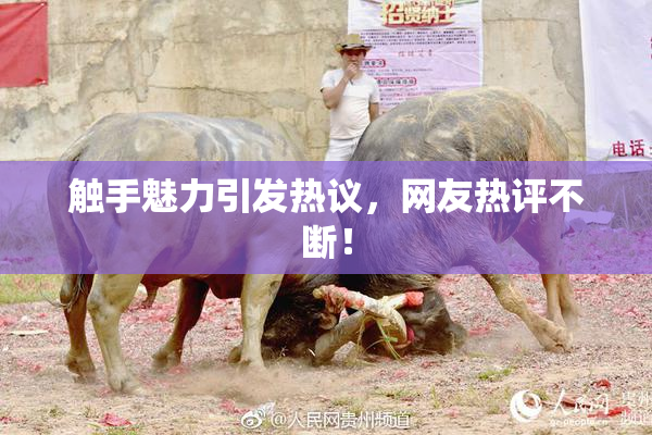 触手魅力引发热议，网友热评不断！