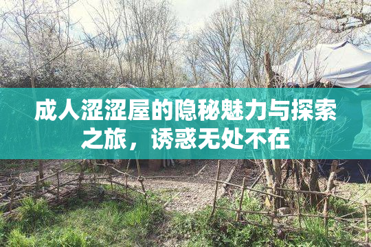 成人涩涩屋的隐秘魅力与探索之旅，诱惑无处不在