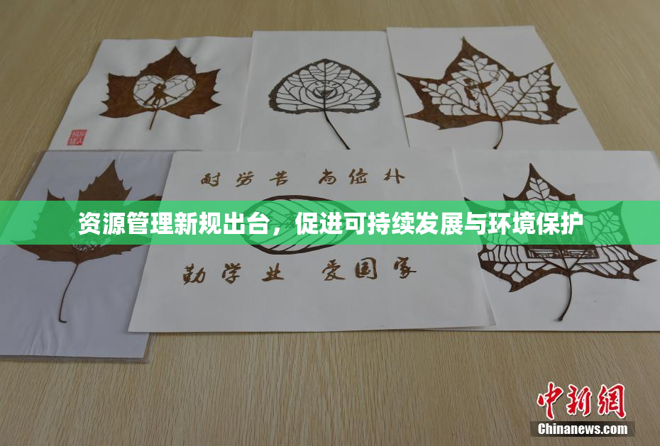 资源管理新规出台，促进可持续发展与环境保护
