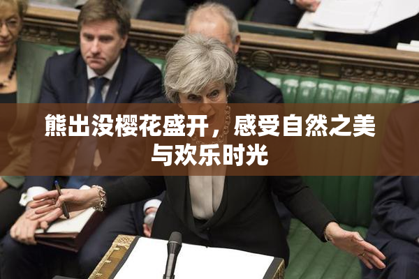 熊出没樱花盛开，感受自然之美与欢乐时光