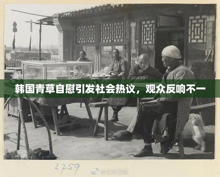 韩国青草自慰引发社会热议，观众反响不一