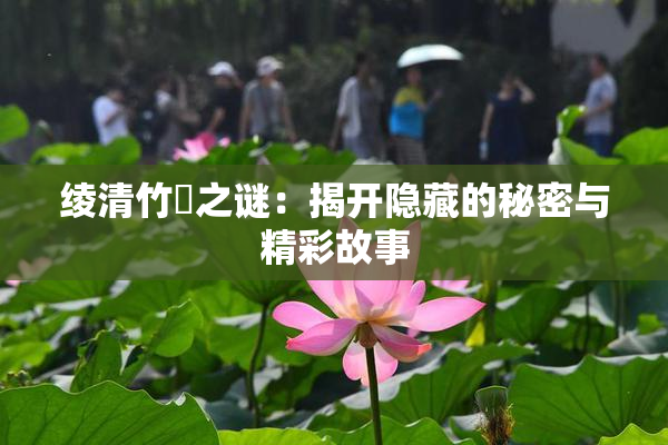 绫清竹婬之谜：揭开隐藏的秘密与精彩故事