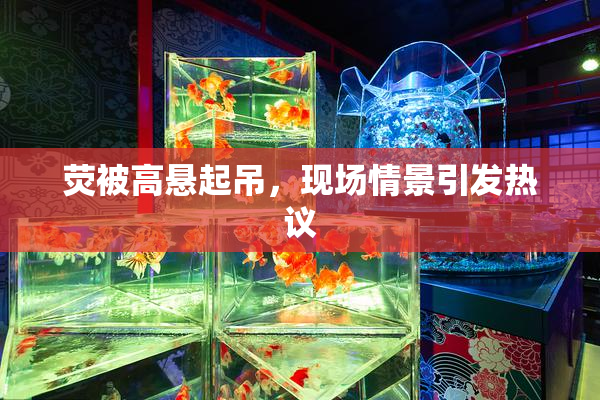荧被高悬起吊，现场情景引发热议