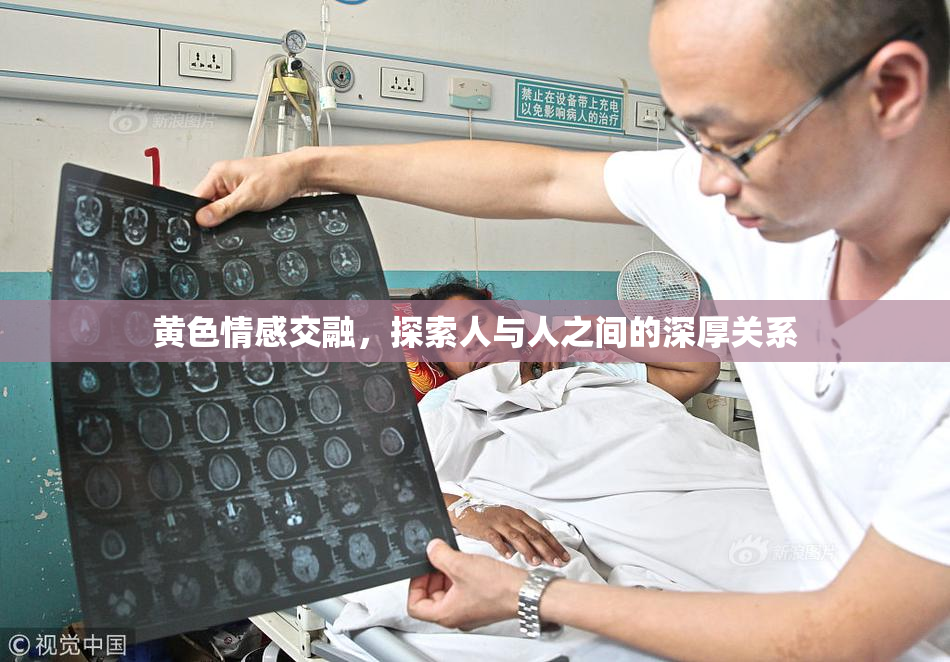 黄色情感交融，探索人与人之间的深厚关系