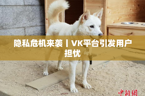 隐私危机来袭丨VK平台引发用户担忧