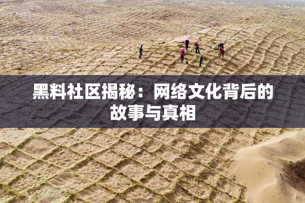 黑料社区揭秘：网络文化背后的故事与真相