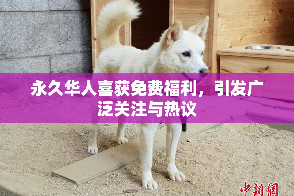 永久华人喜获免费福利，引发广泛关注与热议