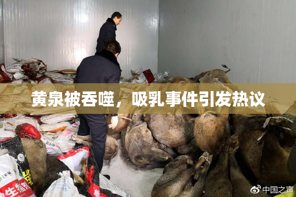黄泉被吞噬，吸乳事件引发热议