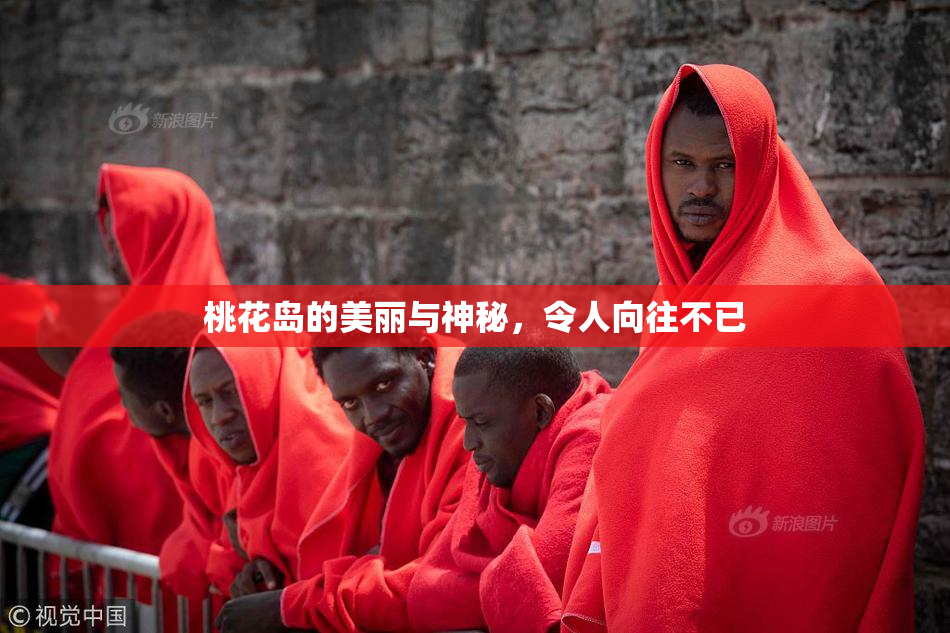 桃花岛的美丽与神秘，令人向往不已