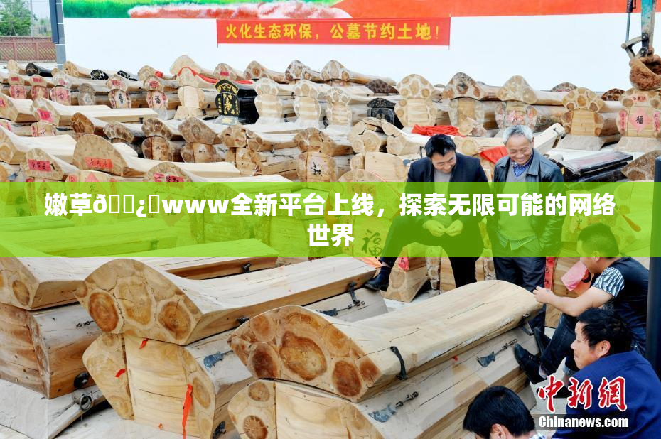 嫩草🌿‌www全新平台上线，探索无限可能的网络世界