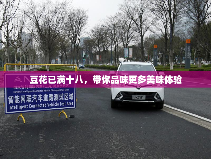 豆花已满十八，带你品味更多美味体验