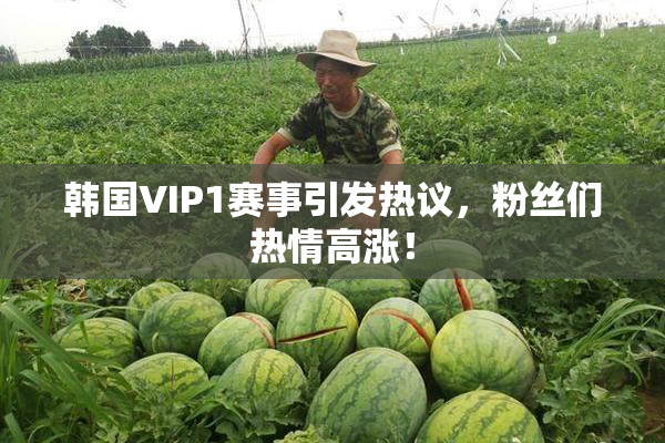韩国VIP1赛事引发热议，粉丝们热情高涨！