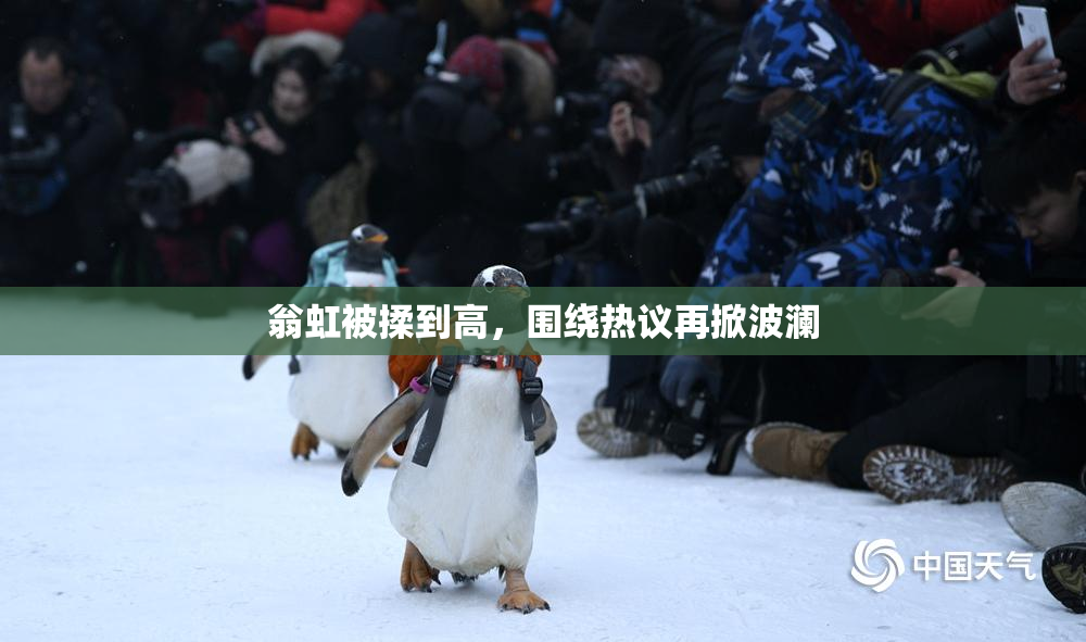 翁虹被揉到高，围绕热议再掀波澜