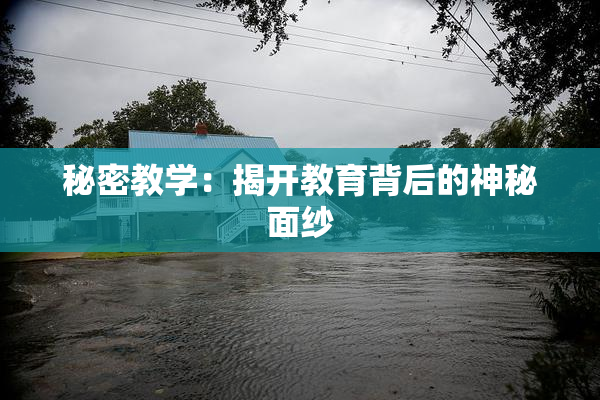 秘密教学：揭开教育背后的神秘面纱