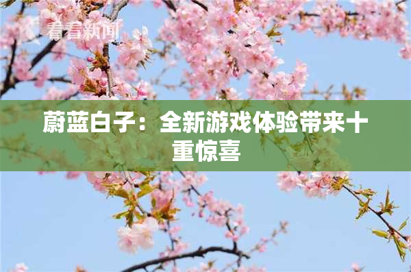 蔚蓝白子：全新游戏体验带来十重惊喜