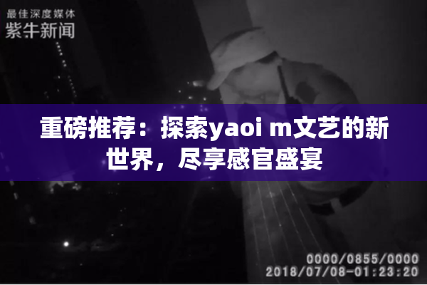 重磅推荐：探索yaoi m文艺的新世界，尽享感官盛宴