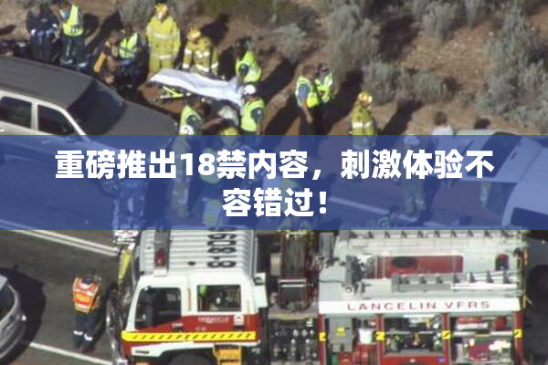 重磅推出18禁内容，刺激体验不容错过！